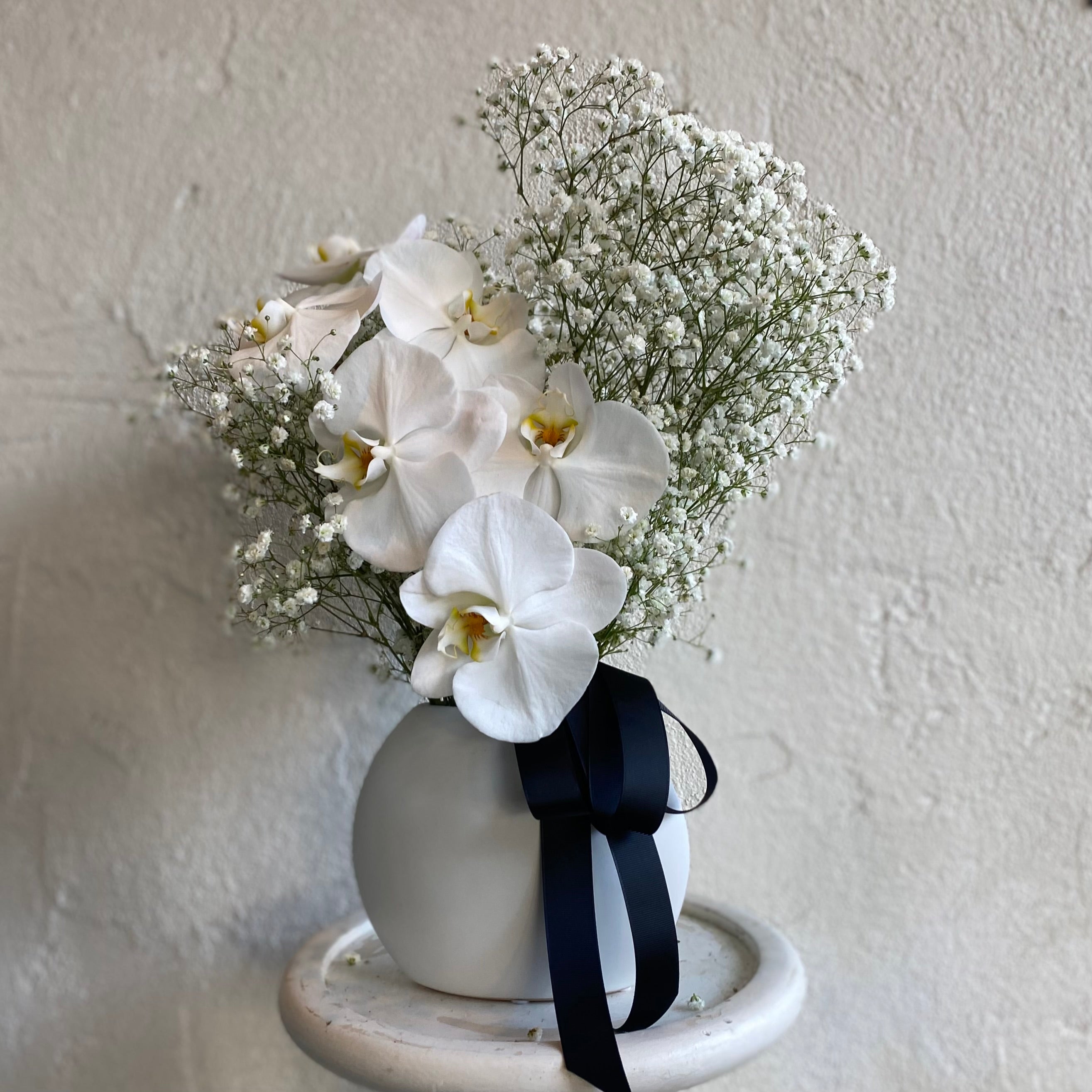 Phalanopsis orchid with gypsophila in vase